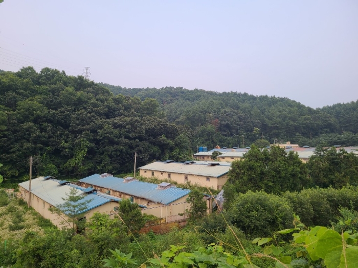 강원특별자치도 원주시 지정면 월송리 561 외 28필지 동물및식물관련시설 경매 사진 151