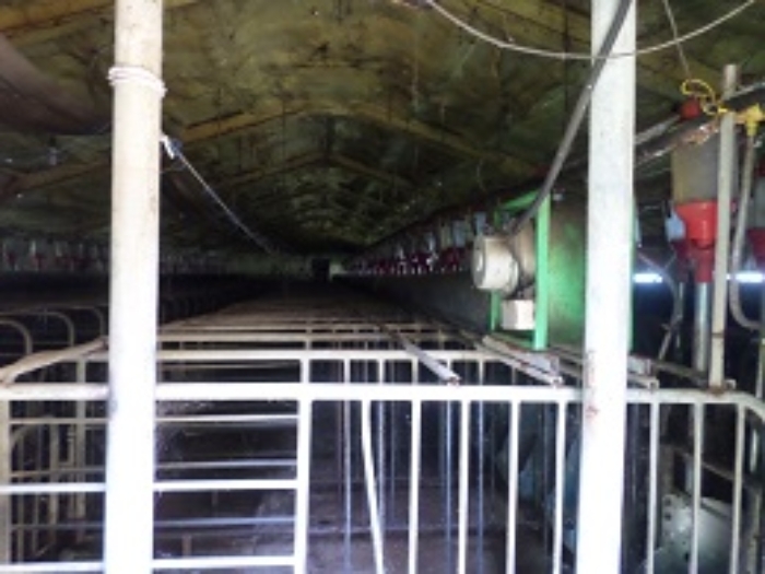 강원특별자치도 원주시 지정면 월송리 561 외 28필지 동물및식물관련시설 경매 사진 37