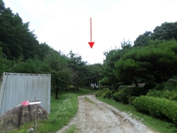 강원특별자치도 원주시 지정면 월송리 561 외 28필지 동물및식물관련시설 경매 사진 59