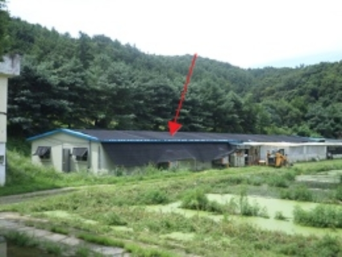 강원특별자치도 원주시 지정면 월송리 561 외 28필지 동물및식물관련시설 경매 사진 75