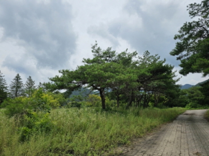 충청북도 충주시 동량면 하천리 443-14 외 21필지 유원지 경매 사진 2
