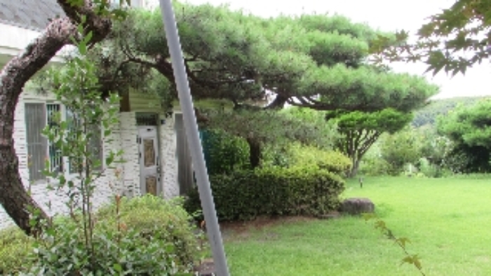 경상남도 창녕군 계성면 봉산리 1629 외 4필지 숙박시설 경매 사진 9