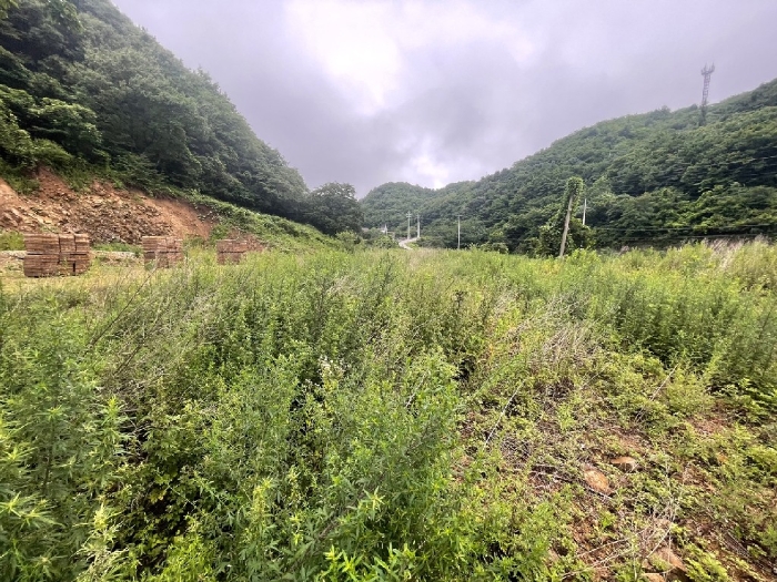 경상북도 경주시 황용동 107 외 20필지 답 경매 사진 13