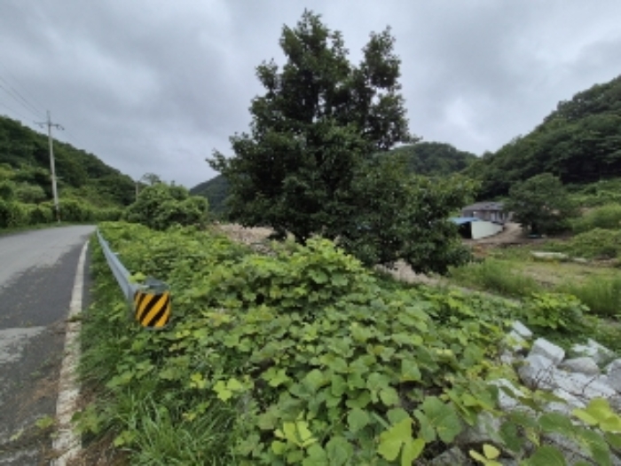 경상북도 경주시 황용동 107 외 20필지 답 경매 사진 3