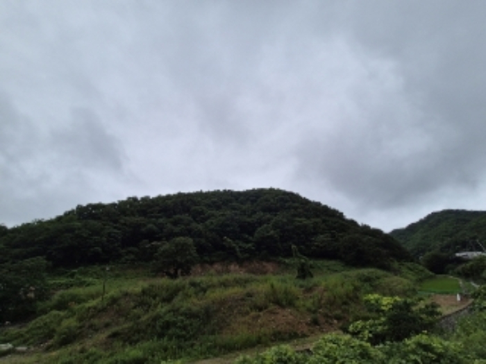경상북도 경주시 황용동 107 외 20필지 답 경매 사진 4