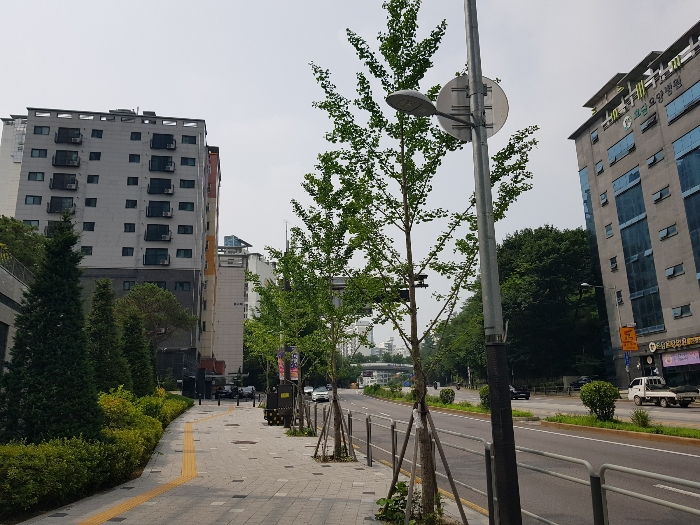 서울 서대문구 홍은동 168-2, 5층502호 (홍은동,진성위메이드) 외 1필지 오피스텔(주거) 경매 사진 8
