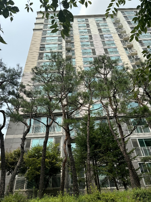 경기 남양주시 진접읍 금곡리 1115, 2208동 4층 403호 (진접신도브래뉴아파트) 아파트 경매 사진 10