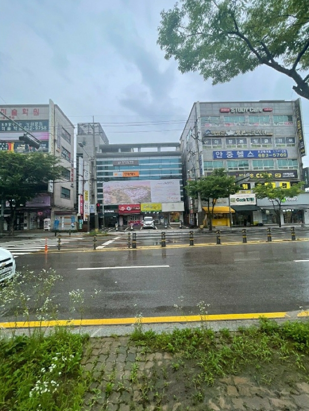 경기도 평택시 안중읍 현화리 250-4 근린시설 경매 사진 34