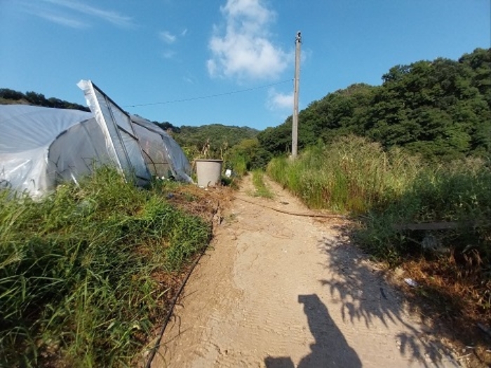 충청남도 공주시 유구읍 유구리 61-1 외 2필지 전 경매 사진 1