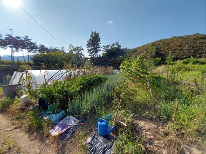 충청남도 공주시 유구읍 유구리 61-1 외 2필지 전 경매 사진 2