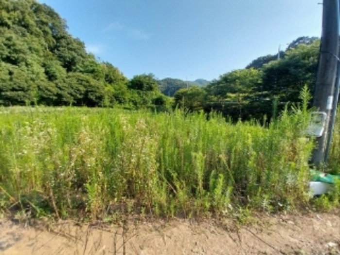 충청남도 공주시 유구읍 유구리 61-1 외 2필지 전 경매 사진 3