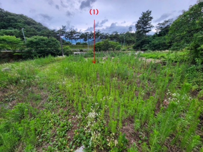충청남도 공주시 유구읍 유구리 61-1 외 2필지 전 경매 사진 10