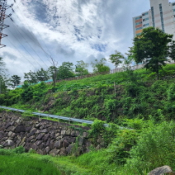 울산광역시 중구 성안동 574-2 답 경매 사진 11
