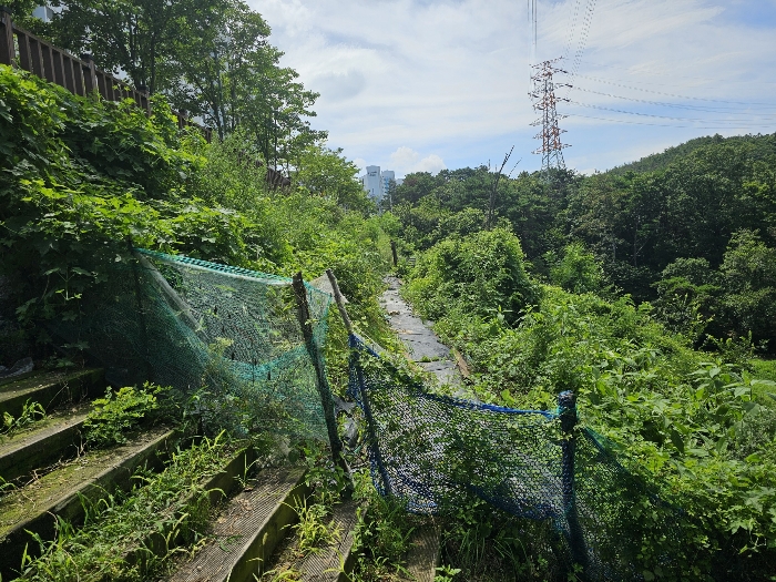 울산광역시 중구 성안동 574-2 답 경매 사진 15