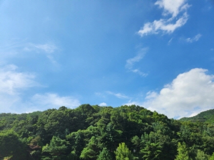경기도 남양주시 조안면 삼봉리 산9-12 임야 경매 사진 11
