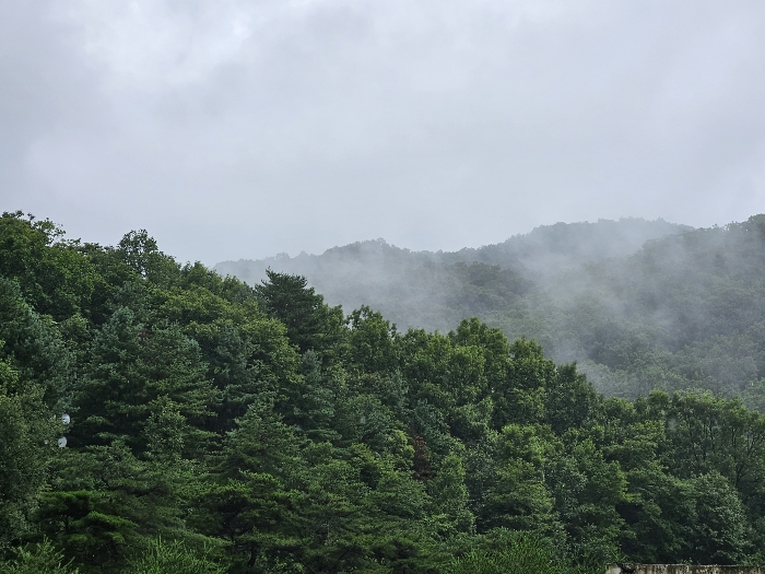 경기도 남양주시 조안면 삼봉리 산9-12 임야 경매 사진 15