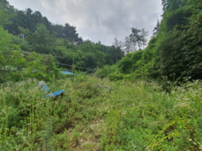경기도 광주시 퇴촌면 도수리 80-12 외 9필지 근린생활시설 경매 사진 11