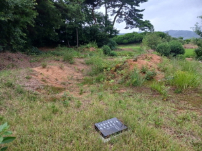 충청남도 서산시 음암면 도당리 산17 임야 경매 사진 20