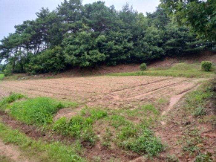 충청남도 서산시 음암면 도당리 산17 임야 경매 사진 24