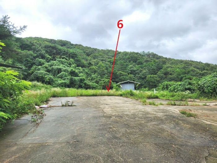 경기도 안성시 죽산면 용설리 1181 외 5필지 동물및식물관련시설 경매 사진 46