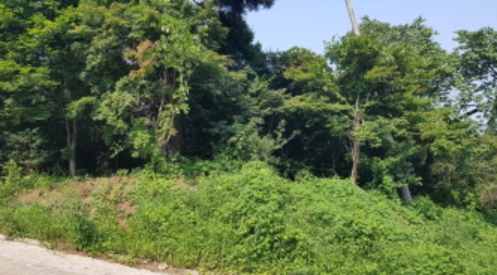 경기도 안성시 죽산면 용설리 1181 외 5필지 동물및식물관련시설 경매 사진 8