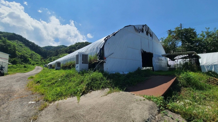 강원특별자치도 횡성군 우천면 산전리 165-1 외 5필지 동물및식물관련시설 경매 사진 28