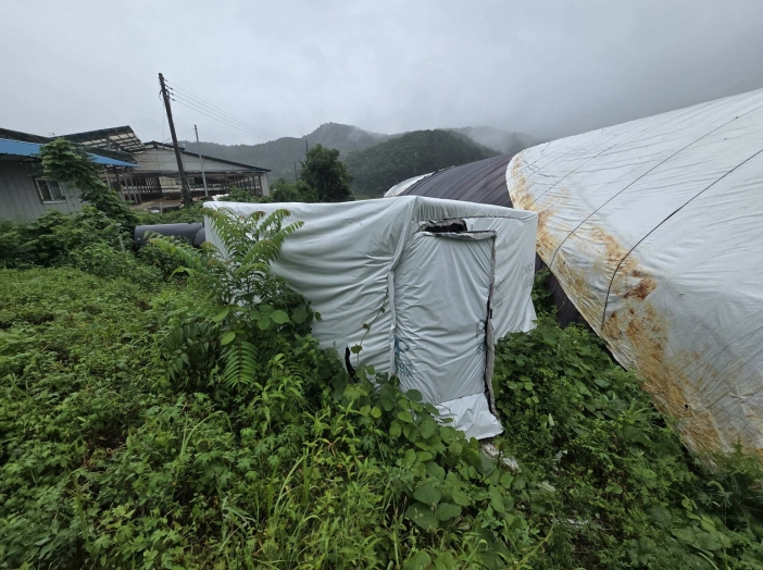 강원특별자치도 횡성군 우천면 산전리 165-1 외 5필지 동물및식물관련시설 경매 사진 32