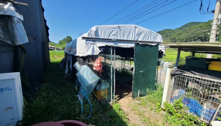 강원특별자치도 횡성군 우천면 산전리 165-1 외 5필지 동물및식물관련시설 경매 사진 34