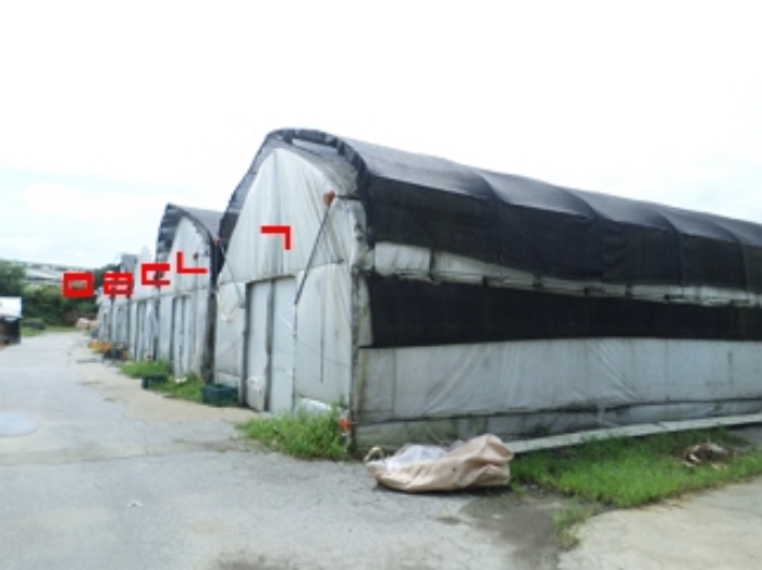 강원특별자치도 횡성군 우천면 산전리 165-1 외 5필지 동물및식물관련시설 경매 사진 41