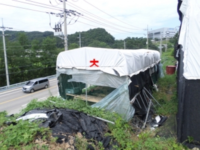 강원특별자치도 횡성군 우천면 산전리 165-1 외 5필지 동물및식물관련시설 경매 사진 44