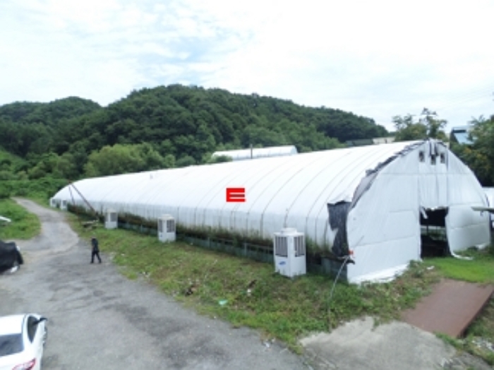 강원특별자치도 횡성군 우천면 산전리 165-1 외 5필지 동물및식물관련시설 경매 사진 46