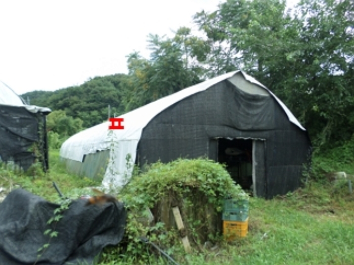 강원특별자치도 횡성군 우천면 산전리 165-1 외 5필지 동물및식물관련시설 경매 사진 47
