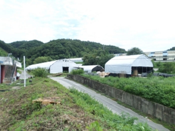 강원특별자치도 횡성군 우천면 산전리 165-1 외 5필지 동물및식물관련시설 경매 사진 50