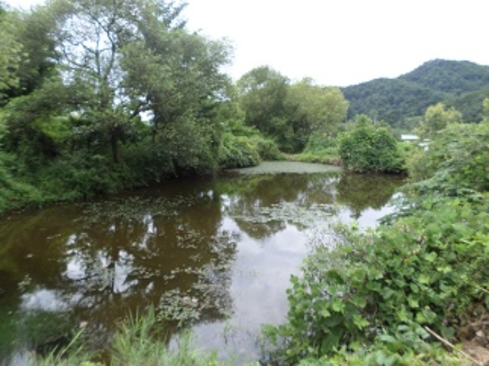 강원특별자치도 횡성군 우천면 산전리 165-1 외 5필지 동물및식물관련시설 경매 사진 51