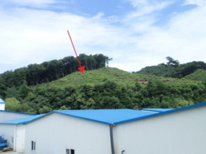 강원특별자치도 횡성군 우천면 산전리 165-1 외 5필지 동물및식물관련시설 경매 사진 52
