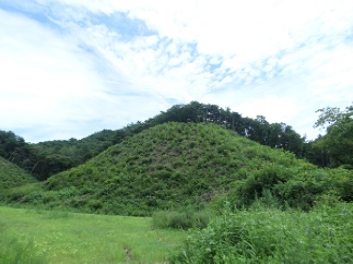 강원특별자치도 횡성군 우천면 산전리 165-1 외 5필지 동물및식물관련시설 경매 사진 54