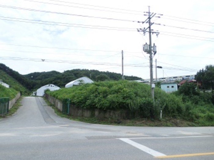 강원특별자치도 횡성군 우천면 산전리 165-1 외 5필지 동물및식물관련시설 경매 사진 64