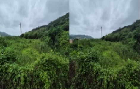 전라남도 영암군 학산면 독천리 118 답 경매 사진 6