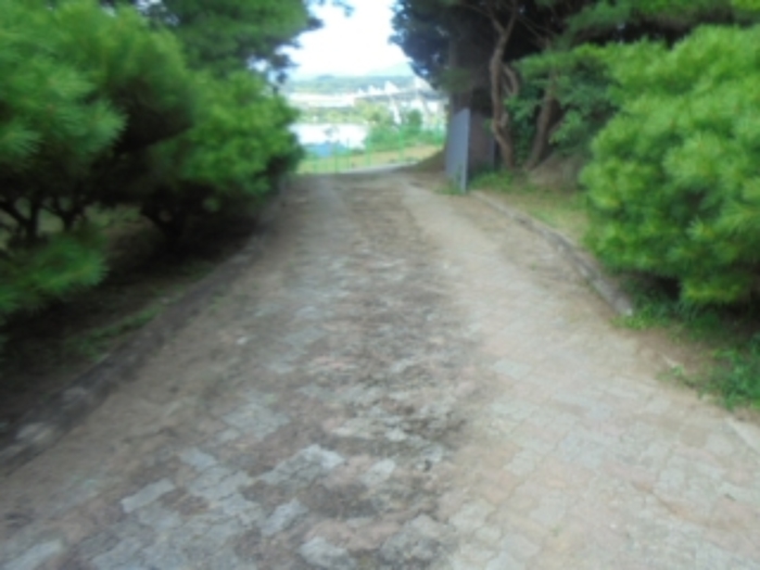 충청북도 충주시 중앙탑면 창동리 287-1 외 7필지 단독주택 경매 사진 46