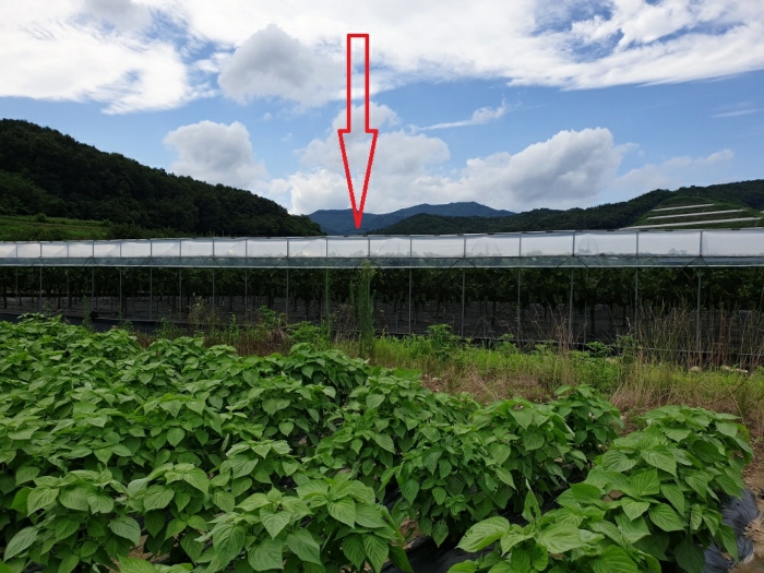 경상북도 김천시 어모면 옥계리 363 전 경매 사진 12