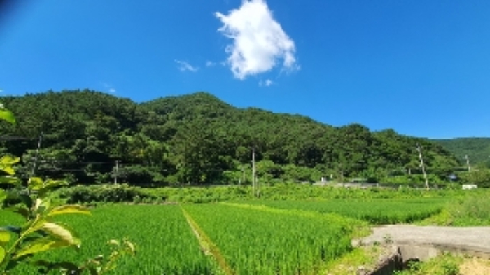 경상남도 창원시 마산합포구 진북면 영학리 41 외 2필지 임야 경매 사진 1