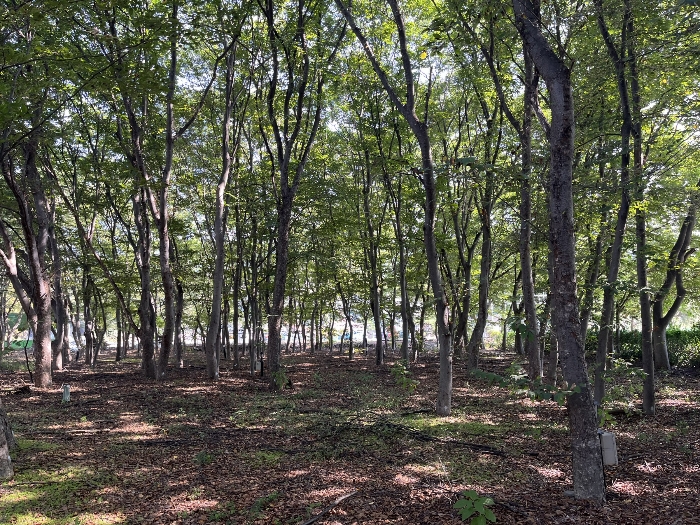 전북특별자치도 무주군 무주읍 당산리 309-1 외 44필지 교육연구시설 경매 사진 233