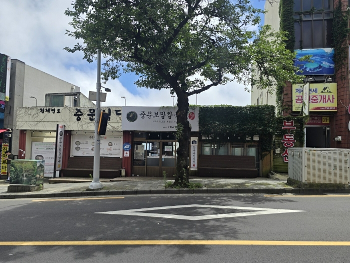 제주특별자치도 서귀포시 중문동 2056-6 외 1필지 근린생활시설 경매 사진 12