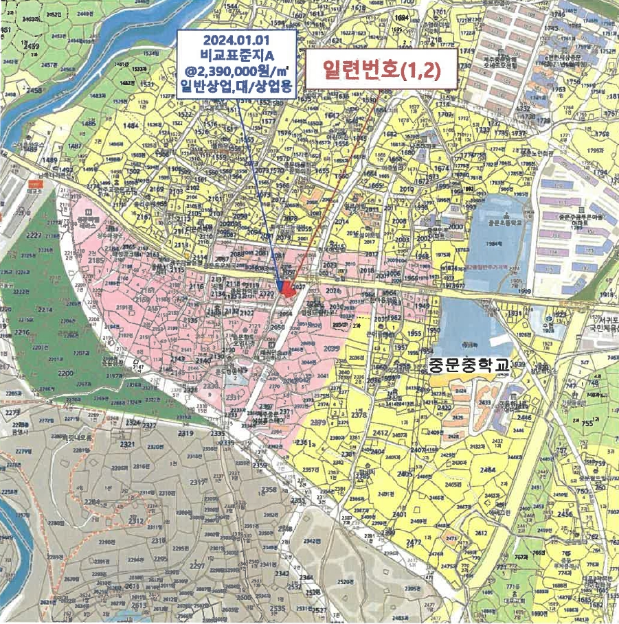 제주특별자치도 서귀포시 중문동 2056-6 외 1필지 근린생활시설 경매 사진 21