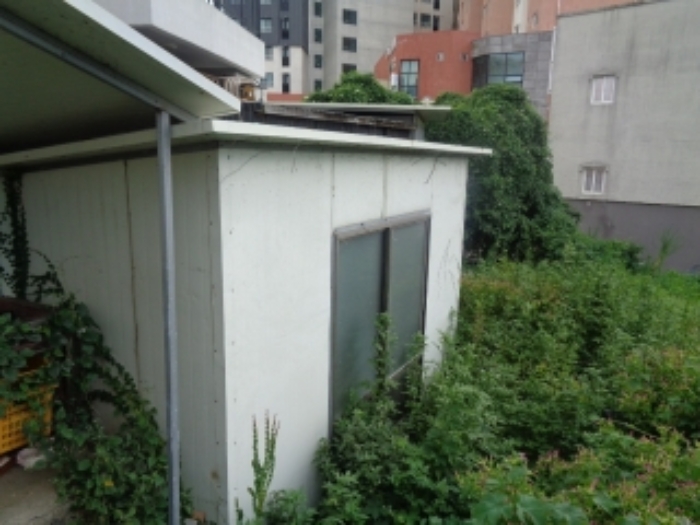 제주특별자치도 서귀포시 중문동 2056-6 외 1필지 근린생활시설 경매 사진 8