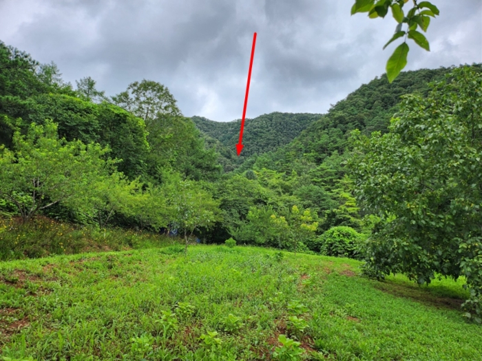 충청북도 단양군 어상천면 율곡리 107 전 경매 사진 18