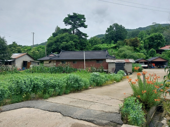 경기도 안성시 일죽면 화봉리 137 외 5필지 대지 경매 사진 30