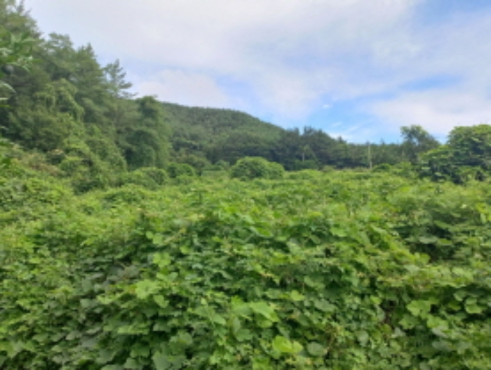 경상남도 남해군 창선면 율도리 700-3 외 1필지 전 경매 사진 1