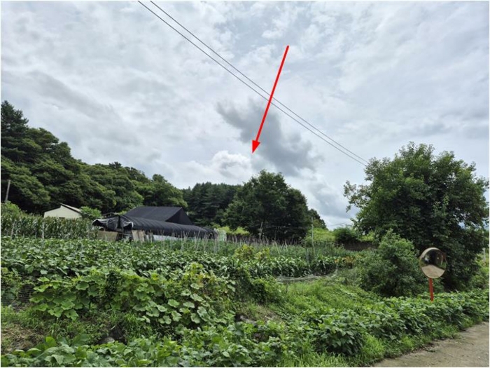 경기도 연천군 연천읍 옥산리 400-7 외 9필지 임야 경매 사진 20