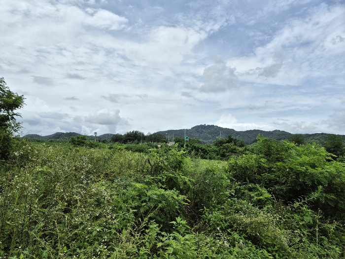경기도 연천군 연천읍 옥산리 400-7 외 9필지 임야 경매 사진 21